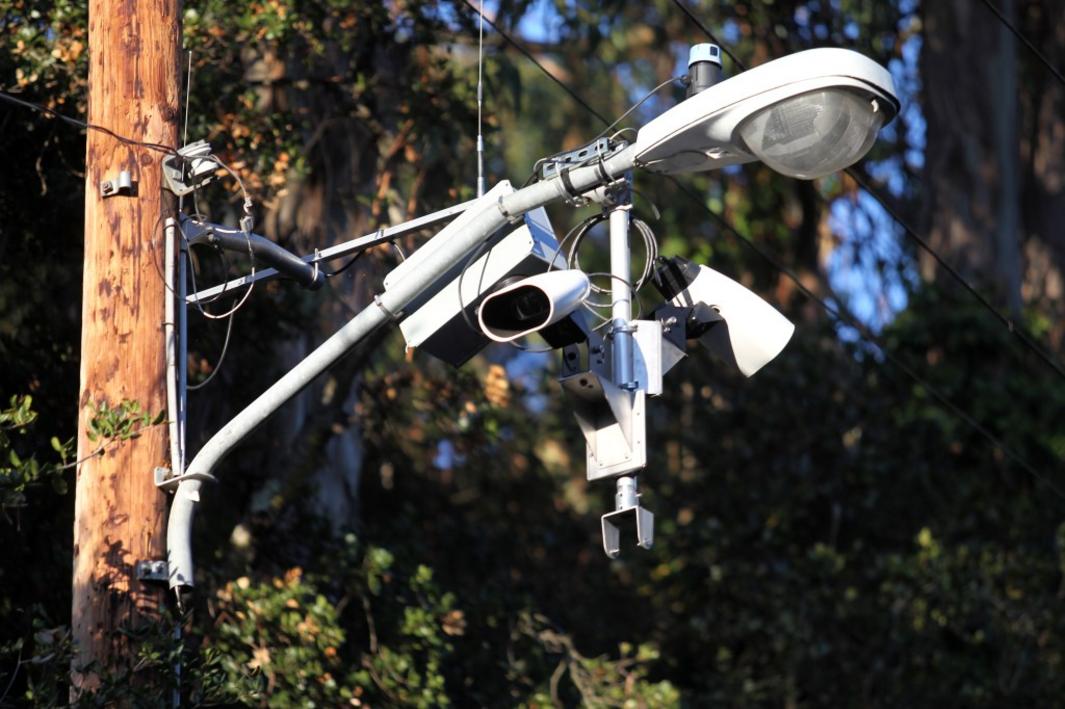 MOP L PIEDMONT 0618 1