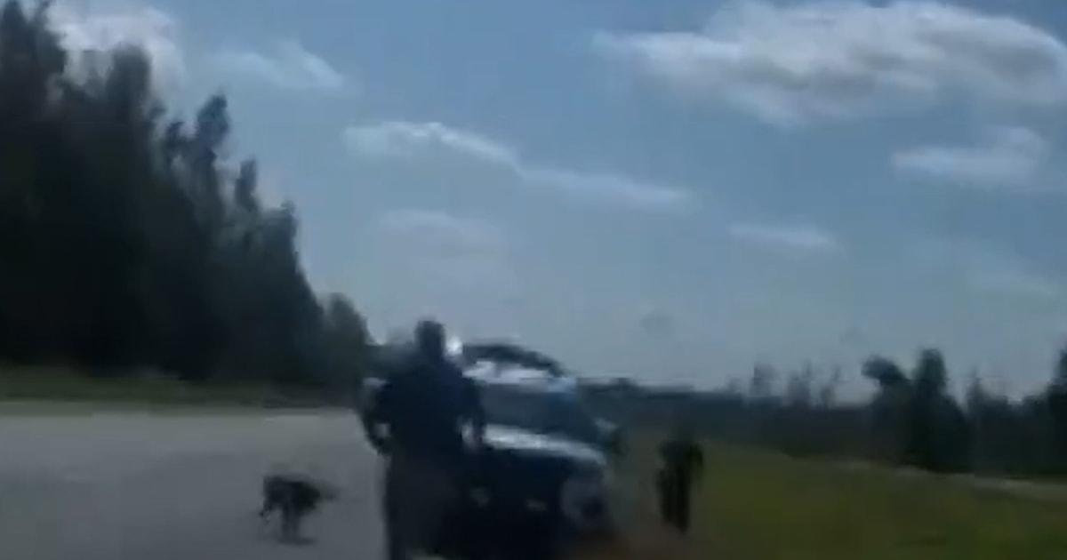 Video camera cá nhân mới về vụ khỉ sổng chuồng tại Mississippi 1 Monkey thumb ws2l0c