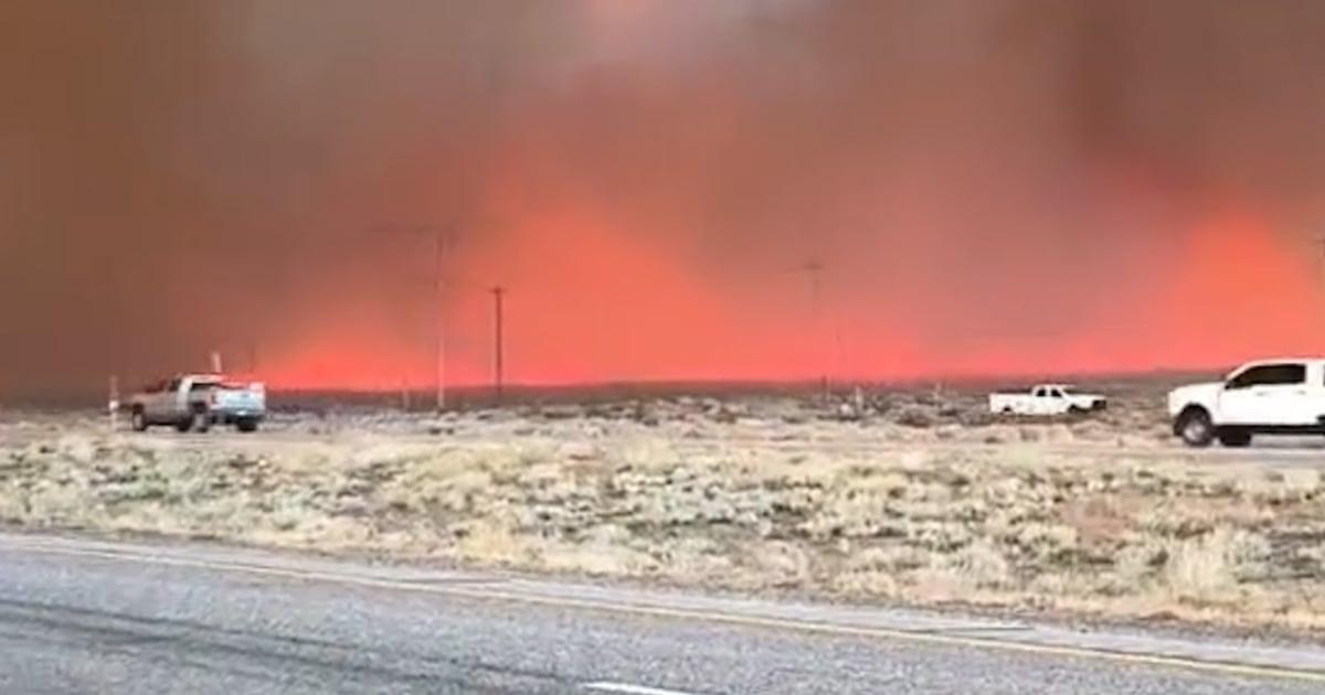 Cháy rừng California lan nhanh 1 Pack Fire Thumb Vert zr4mlu