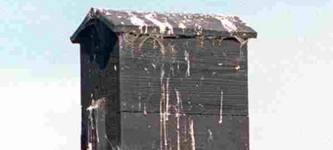 SJM L JOANCOL 1103 01 e1761946177638