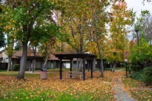 Thêm một thành phố Vùng Vịnh cấm máy thổi lá chạy xăng, nhưng không phải ai cũng sẵn sàng chuyển sang điện 4 Thêm một thành phố Vùng Vịnh cấm máy thổi lá chạy xăng, nhưng không phải ai cũng sẵn sàng chuyển sang điện