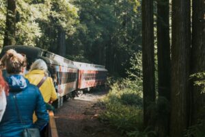 Đi Chuyến Tàu Nấm: Vui Chơi, Rượu Ngon và Bảo Tồn Rừng 9 Đi Chuyến Tàu Nấm: Vui Chơi, Rượu Ngon và Bảo Tồn Rừng