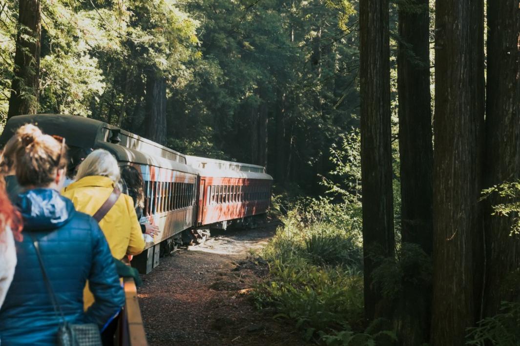Đi Chuyến Tàu Nấm: Vui Chơi, Rượu Ngon và Bảo Tồn Rừng 1 SJM L MUSHROOMTRAIN 1116 04