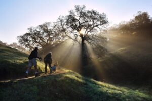 Vì Sao Các Công Viên Vùng Vịnh California Nằm Trong Số Tốt Nhất Thế Giới 20 Vì Sao Các Công Viên Vùng Vịnh California Nằm Trong Số Tốt Nhất Thế Giới