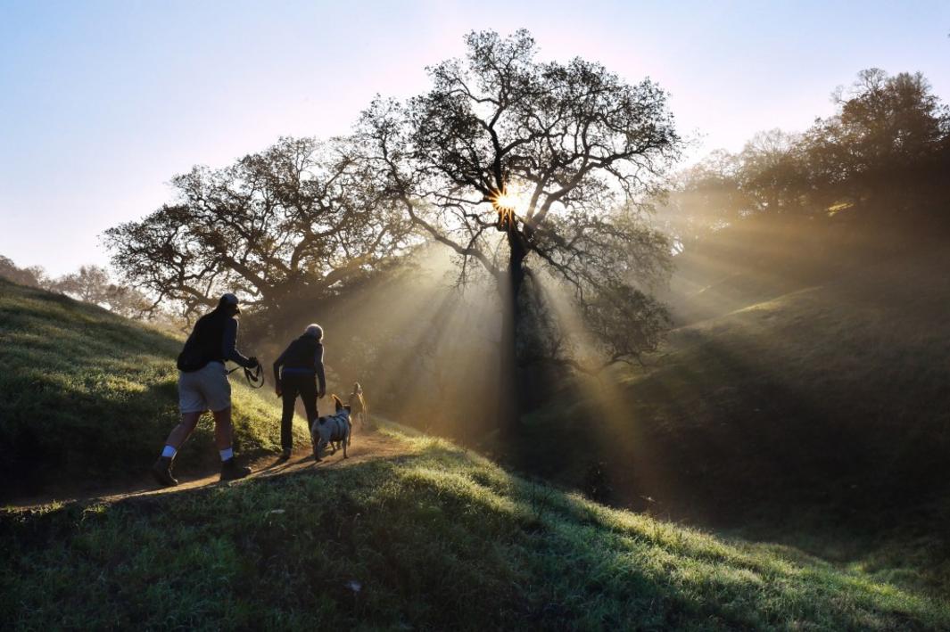 SJM L SHELLRIDGE 0306 05 1051786647