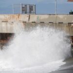 SJM L WEDSWEATHER 0104 4