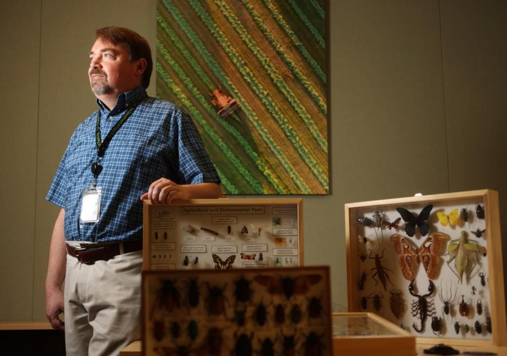 Chính phủ Mỹ thả hàng triệu con ruồi tại Vùng Vịnh để chống dịch hại nông nghiệp 1 SJM Z SVCHATJL 10XX 3