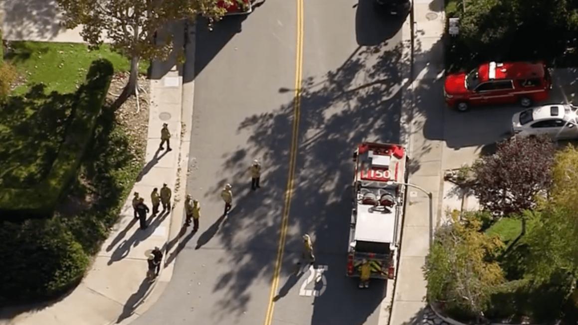 Screenshot 2025 11 24 at 10.19.16 E2 80 AFAM