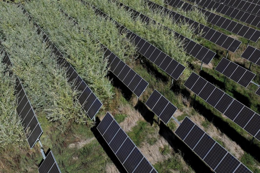 Cánh đồng điện mặt trời trị giá 7,5 triệu đô la của trường Cao đẳng Napa Valley từng là mô hình, nay bị bỏ hoang 1 TPD L BS 100725 Drone2