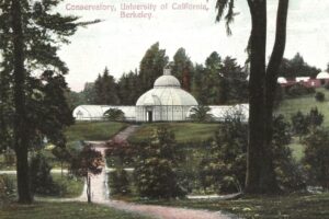 Berkeley: Sương mù dày đặc bao trùm Vùng Vịnh vào Lễ Tạ Ơn năm 1925 5 Berkeley: Sương mù dày đặc bao trùm Vùng Vịnh vào Lễ Tạ Ơn năm 1925