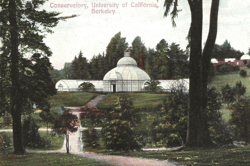 VOJ Z HISTORY COL 1128 1 1