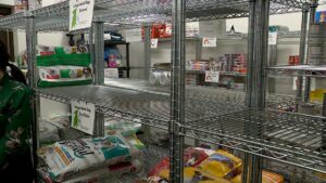 Các trung tâm cứu trợ thú cưng ở Houston đang cạn kiệt thức ăn miễn phí cho gia đình 6 Các trung tâm cứu trợ thú cưng ở Houston đang cạn kiệt thức ăn miễn phí cho gia đình