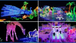 Sự kiện Giáng Sinh và Lễ Hội Ánh Sáng Mùa Đông Khu Vực Houston 5 Sự kiện Giáng Sinh và Lễ Hội Ánh Sáng Mùa Đông Khu Vực Houston