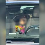 Đặc Vụ Liên Bang Lái Xe Chở Bé Gái 1 Tuổi Sau Khi Bố Cô Bé Bị Bắt 30 Đặc Vụ Liên Bang Lái Xe Chở Bé Gái 1 Tuổi Sau Khi Bố Cô Bé Bị Bắt