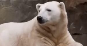 Buổi Điểm Tin Sáng: 8 Dân Biểu Dân Chủ Nổi Dậy Trong Cuộc Bỏ Phiếu Ngừng Hoạt Động, Đảng Cộng Hòa Nghi Ngờ Về Phân Chia Lại Khu Vực Bầu Cử, Và Một Chiếc Xe Ram Cũ Vượt Kỳ Vọng 29 Buổi Điểm Tin Sáng: 8 Dân Biểu Dân Chủ Nổi Dậy Trong Cuộc Bỏ Phiếu Ngừng Hoạt Động, Đảng Cộng Hòa Nghi Ngờ Về Phân Chia Lại Khu Vực Bầu Cử, Và Một Chiếc Xe Ram Cũ Vượt Kỳ Vọng