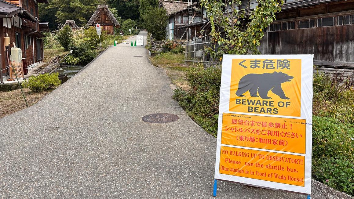 Bộ Ngoại giao Mỹ Cảnh Báo Công Dân Về Tình Trạng Gấu Tấn Công tại Nhật Bản 1 beware of bears japan