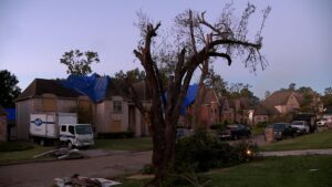 Bão Gây Hư Hại Nặng, Gia Đình Klein Dành Lễ Tạ Ơn Để Dọn Dẹp