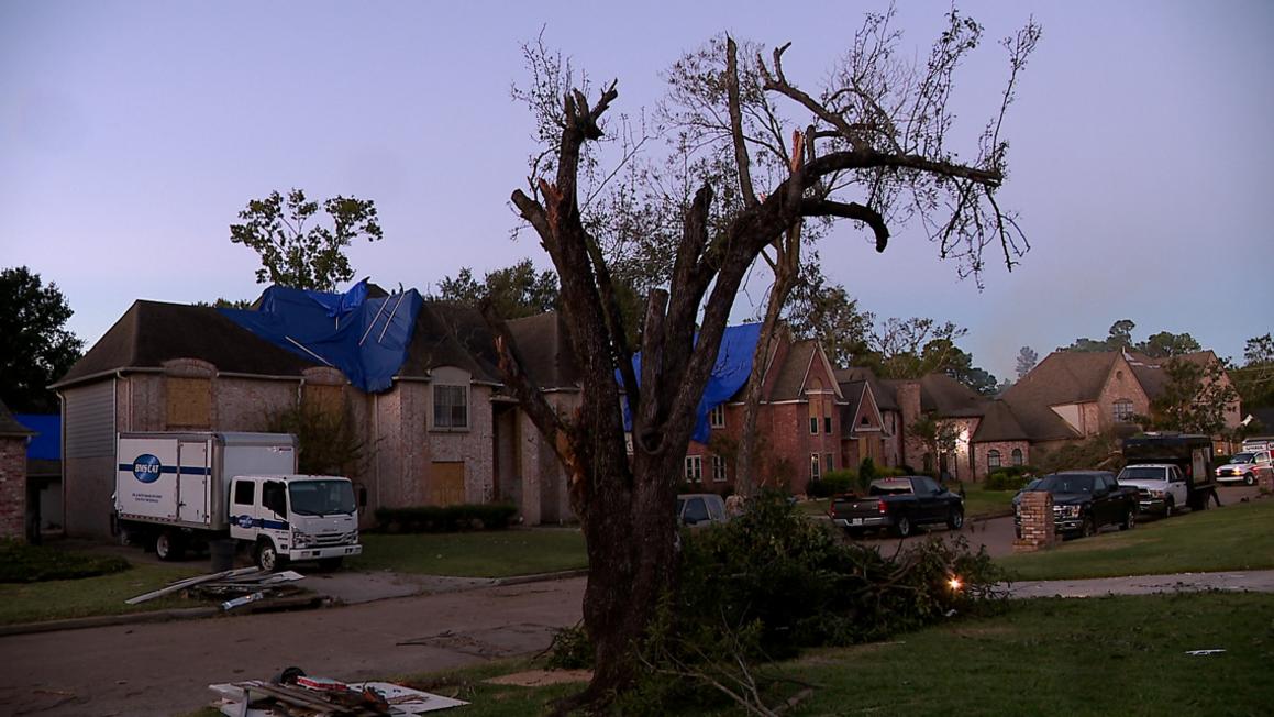 bf0dacfc c915 4019 9bb1