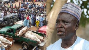 Luật sư Cộng hòa ủng hộ đe dọa hành động quân sự của Trump tại Nigeria 14 Luật sư Cộng hòa ủng hộ đe dọa hành động quân sự của Trump tại Nigeria