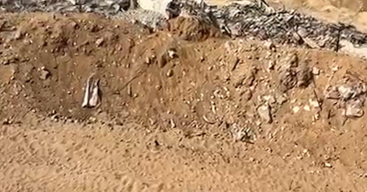 Cái nhìn từ một tiền đồn của Israel ở Gaza 1 bradleyembed l2r0r9