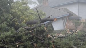 Nạn nhân bão lụt cẩn trọng: Đề phòng lừa đảo nhà thầu lợi dụng người dễ bị tổn thương