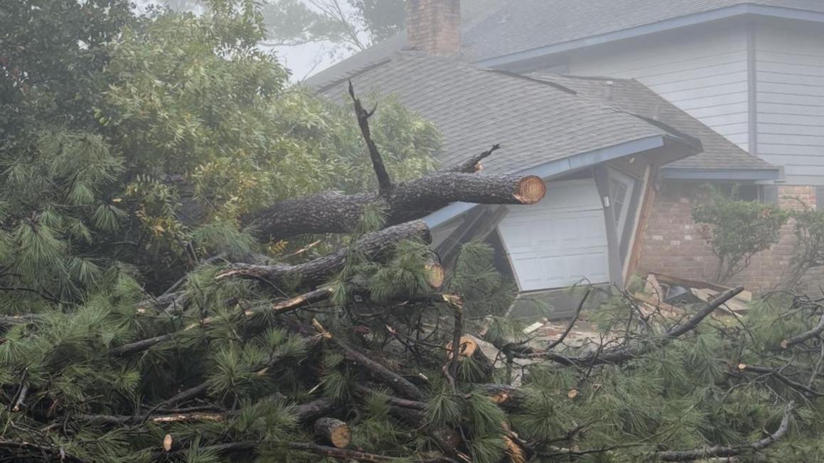 c697e6b6 e45b 4486 b431