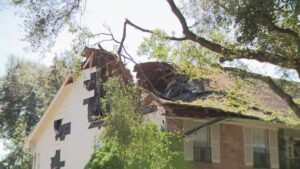 Lính cứu hỏa Klein đi từng nhà giúp hàng xóm dọn dẹp thiệt hại do mưa giông