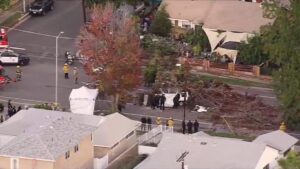 Tài xế tử vong khi xe bị cây đổ đè bẹp ở Winnetka