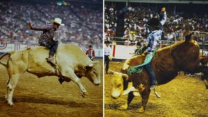 Bò hung thần và kiện tướng cưỡi bò được vinh danh tại Đại sảnh Danh vọng RodeoHouston 16 Bò hung thần và kiện tướng cưỡi bò được vinh danh tại Đại sảnh Danh vọng RodeoHouston