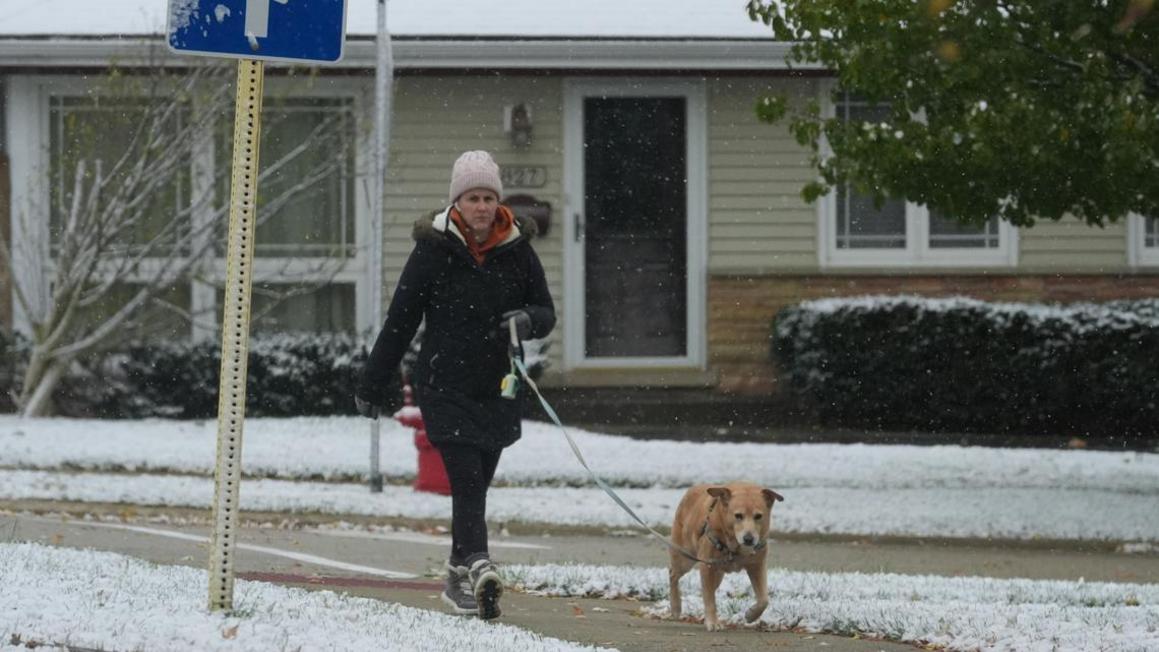 d1f81abf 1219 4bf7 9188