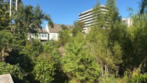 Khu vực đất bỏ hoang sau Harvey gây phiền toái cho dân cư Houston 8 Khu vực đất bỏ hoang sau Harvey gây phiền toái cho dân cư Houston