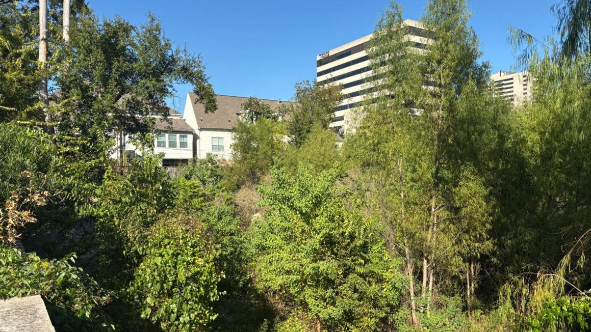 Khu vực đất bỏ hoang sau Harvey gây phiền toái cho dân cư Houston 1 dd8d7307 7a69 43c2 876e