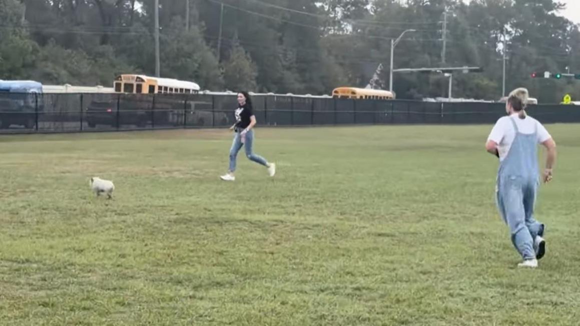 e94b24fe feed 4b99 8037