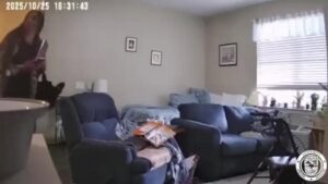 Cảnh Sát Pearland: Phụ Nữ Trộm Nữ Trang Của Cụ Bà 95 Tuổi Tại Viện Dưỡng Lão 4 Cảnh Sát Pearland: Phụ Nữ Trộm Nữ Trang Của Cụ Bà 95 Tuổi Tại Viện Dưỡng Lão