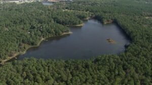 Điều gì đang gặm nhấm đập nước ở Texas? Giới chức Polk County có giả thuyết.