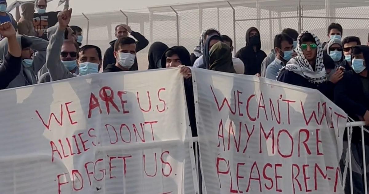 f vert brk afghan refugees 251128.00 00 02 29.Still002