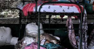 Gia đình kiện trại Mystic sau cái chết của trẻ 19 Gia đình kiện trại Mystic sau cái chết của trẻ