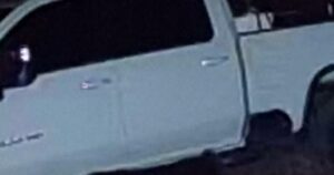 Gấu đen bị bắt gặp lấy cắp máy cưa mới của người đàn ông