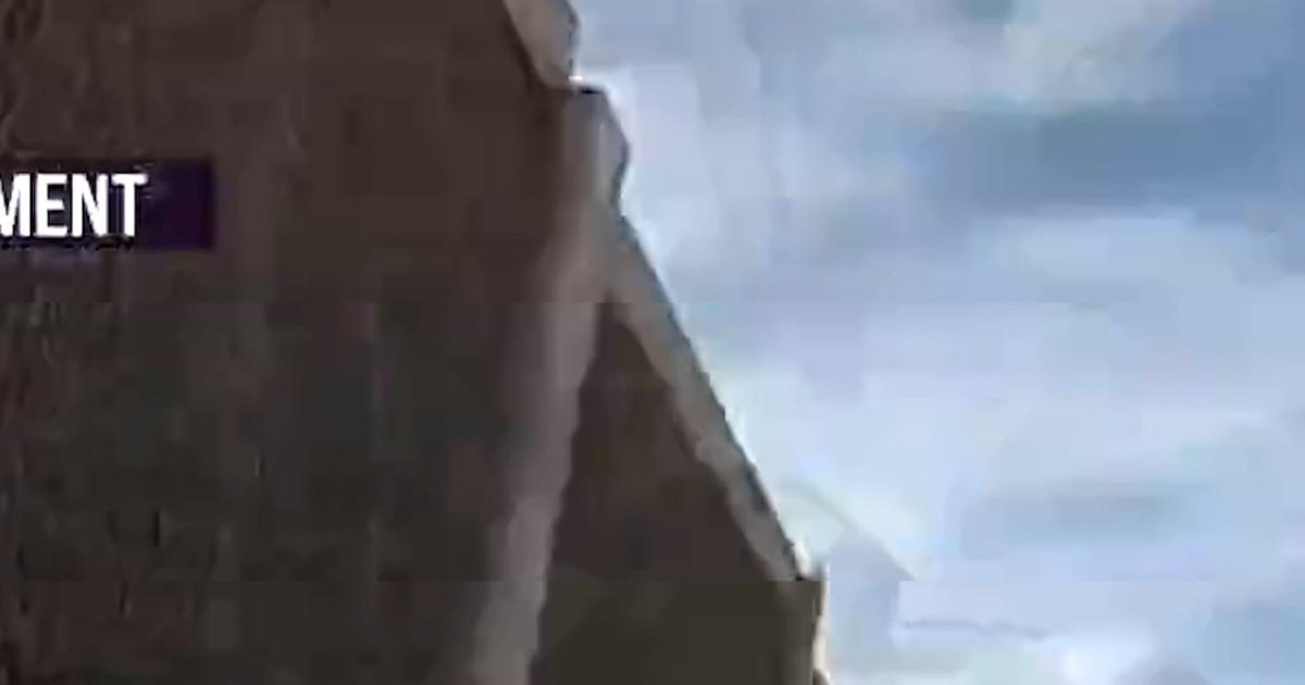 Cảnh sát truy đuổi lợn chạy thoát trên Xa lộ I-40 ở New Mexico 1 f vert brk la cop pigs 251113 icm4pc