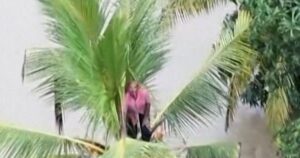 Hàng chục người chết vì lũ lụt và lở đất ở Sri Lanka