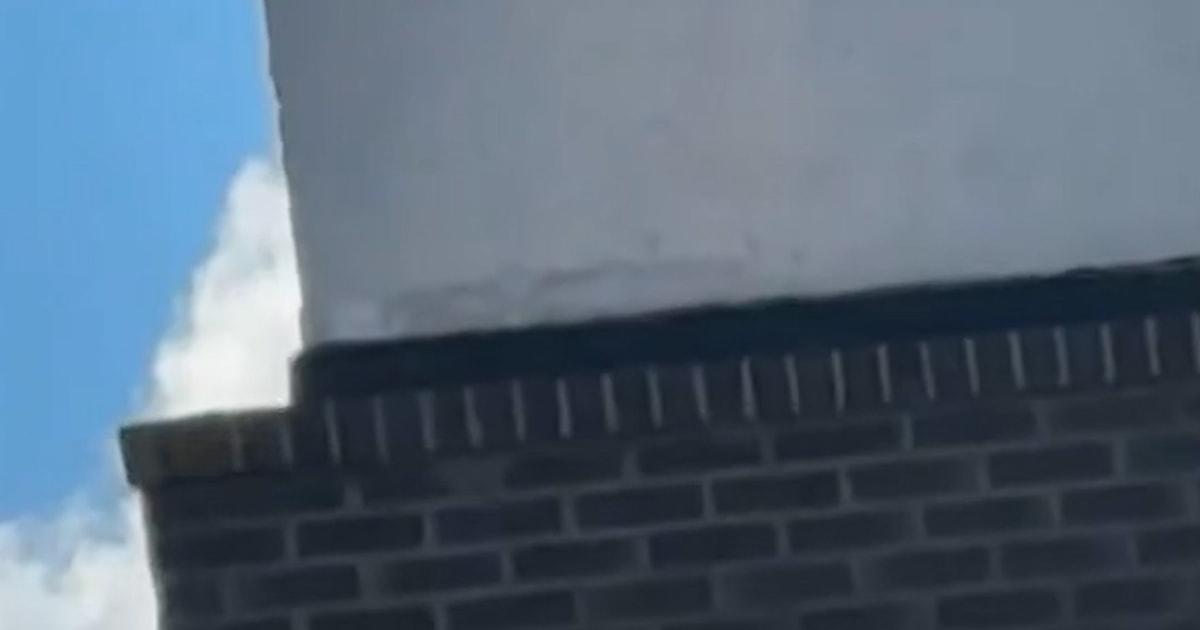 f vert brk nn coyote trapped 251126.00 00 03 28.Still002 tr130q