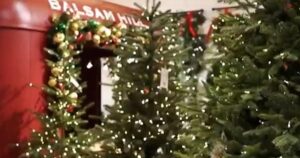 Thuế quan có thể ảnh hưởng đến giá cây thông Noel giả 8 Thuế quan có thể ảnh hưởng đến giá cây thông Noel giả