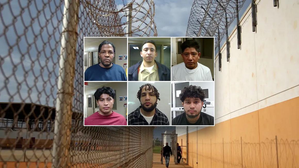 illegal criminal immigrants virginia