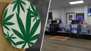 Thành phố Atlantic Giới Hạn Số Lượng Cửa Hàng Cần Sa Giải Trí Do Lo Ngại Nguồn Cung Vượt Quá 11 Thành phố Atlantic Giới Hạn Số Lượng Cửa Hàng Cần Sa Giải Trí Do Lo Ngại Nguồn Cung Vượt Quá