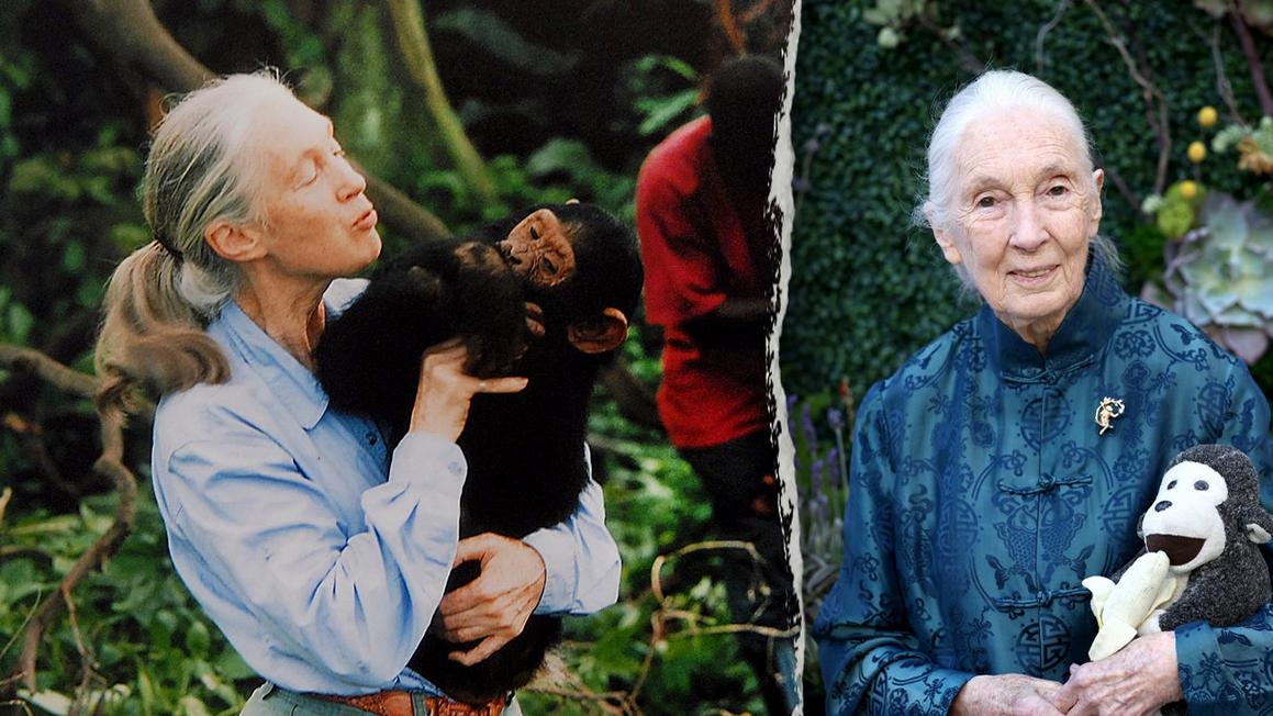 Di Sản Của Tiến Sĩ Jane Goodall: Bài Học Về Đức Tin và Sự Sống 1 jane goodall past present