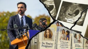 CEO lo ngại Tòa Thị trưởng New York có thể đe dọa các trung tâm chăm sóc thai sản