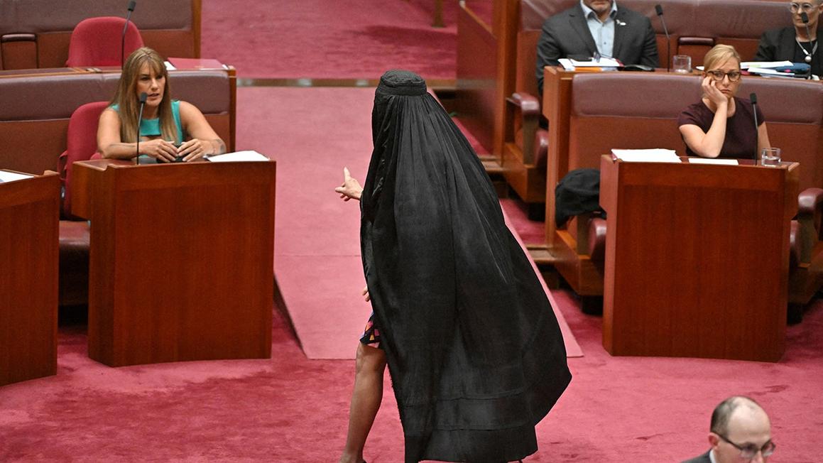 paulina hanson australian senate