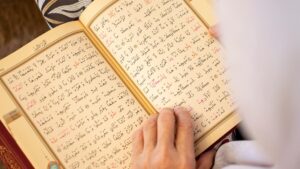 Đụng độ giữa người biểu tình chống Hồi giáo và người Hồi giáo ở Dearborn, Michigan 4 Đụng độ giữa người biểu tình chống Hồi giáo và người Hồi giáo ở Dearborn, Michigan