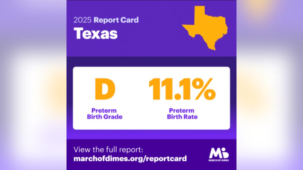 screenshot 2025 11 19 102706