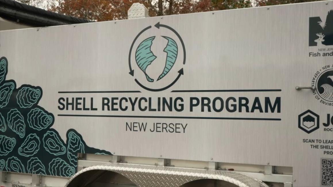Các nhà hàng New Jersey tái chế vỏ sò, ốc để tái tạo rạn san hô ven biển 1 shell recycling